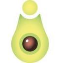 AVOCADO BG