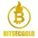 BITSEC GOLD