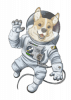 SpaceCorgi