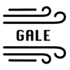 Gale Network