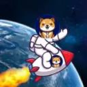 Starship Doge