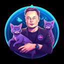 Elon Cat