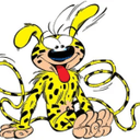 MARSUPILAMI INU