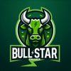 BULL STAR FINANCE