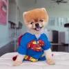 Jiffpom