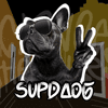 SUPDAOG