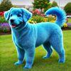 Blue Dog