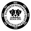 BLACK DOG 