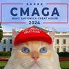 Cat Wif Maga