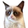 GrumpyCatCoin