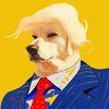 DOGNALD