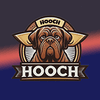 HoochCoin