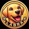 Labrador